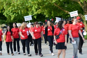 staff volunteers