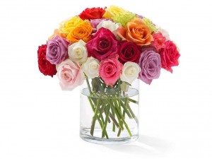 mixed_color_rose_bouquet_love_valentine_hd-wallpaper-589827.jpg