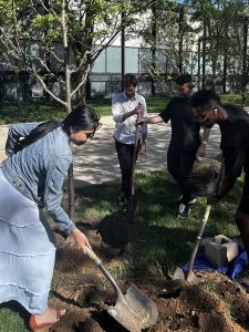 Four people digging a hole